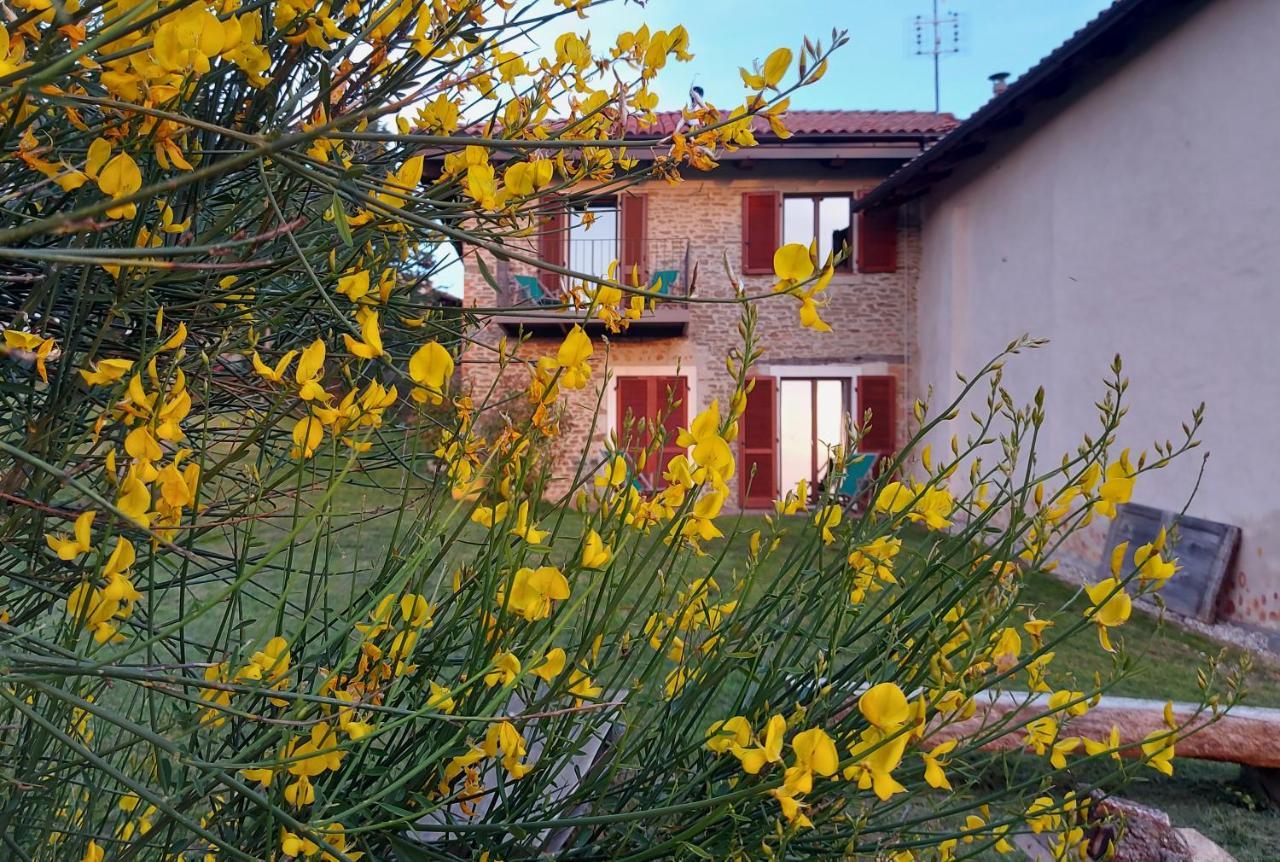 Cascina Nomade - Wine & Scenic Retreat Leilighet Dogliani Eksteriør bilde