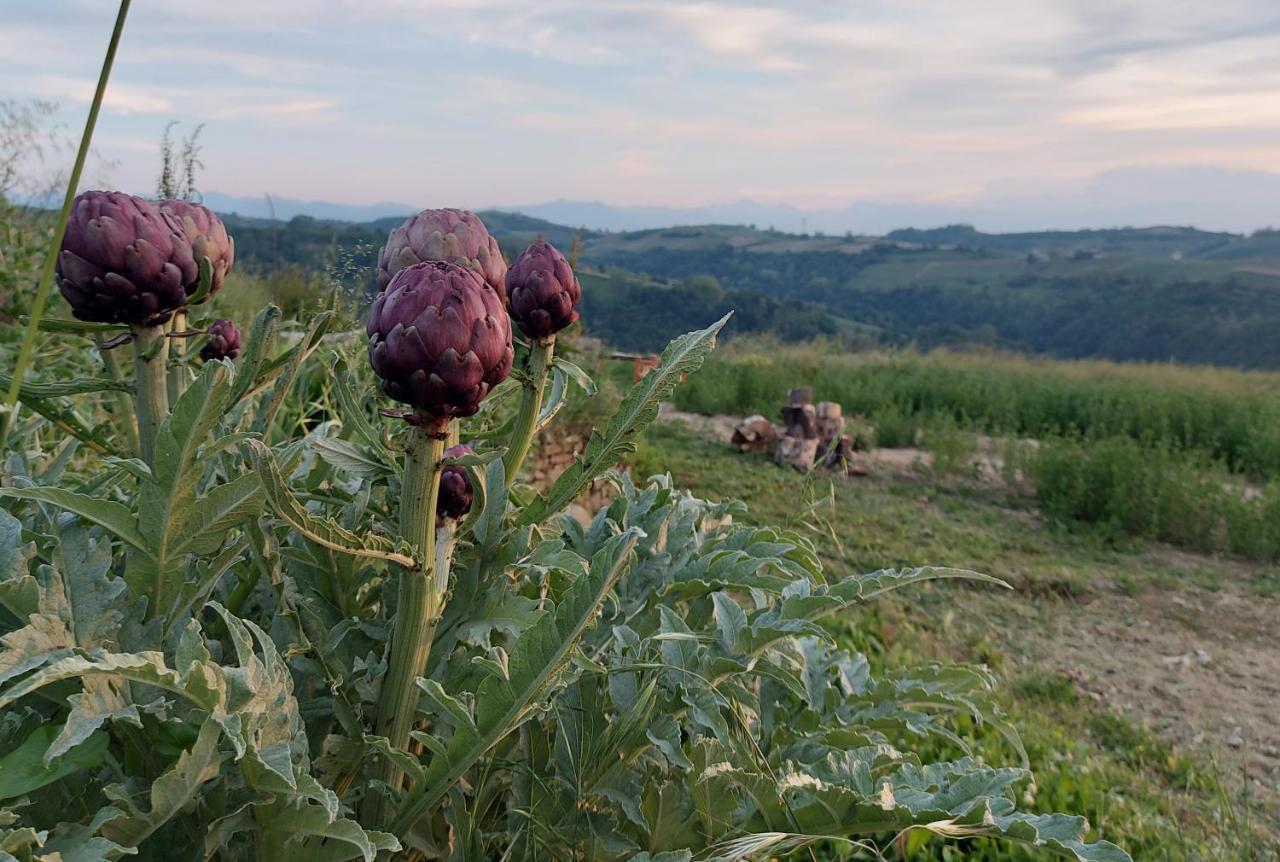 Cascina Nomade - Wine & Scenic Retreat Leilighet Dogliani Eksteriør bilde