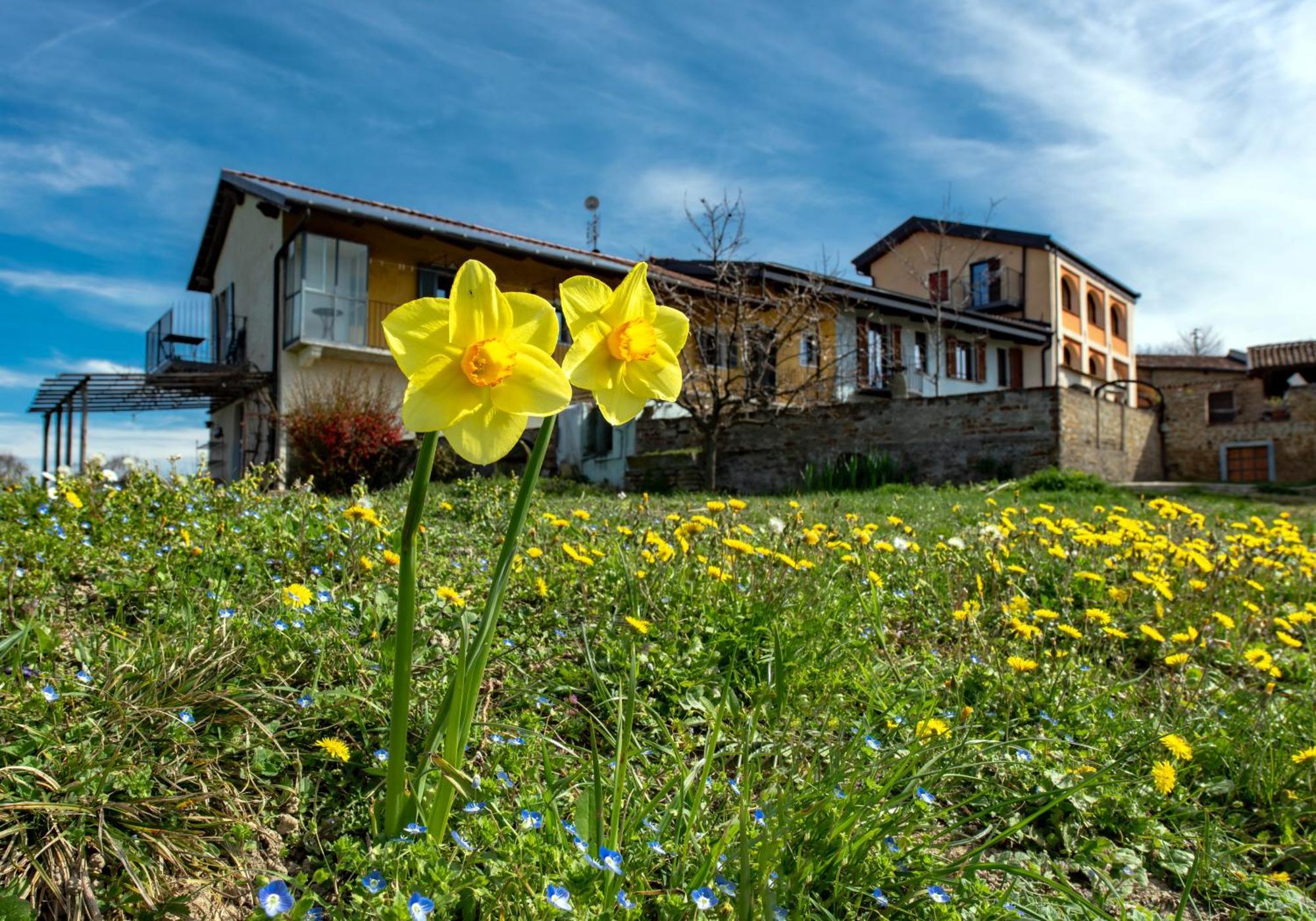 Cascina Nomade - Wine & Scenic Retreat Leilighet Dogliani Eksteriør bilde